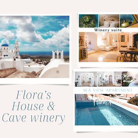 Villa Flora'S House & Cave Winery Pyrgos Kallistis Exterior foto