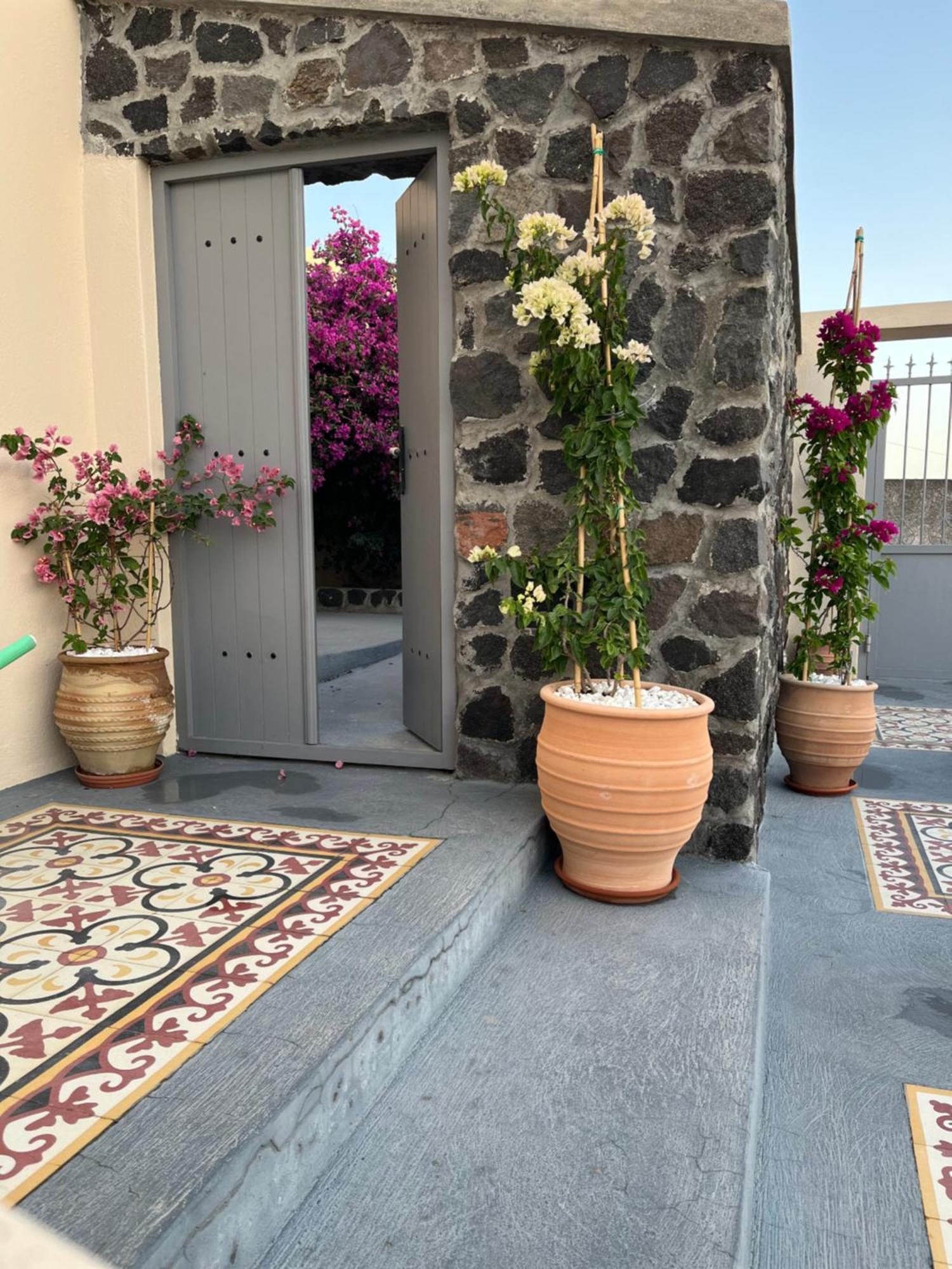 Villa Flora'S House & Cave Winery Pyrgos Kallistis Exterior foto